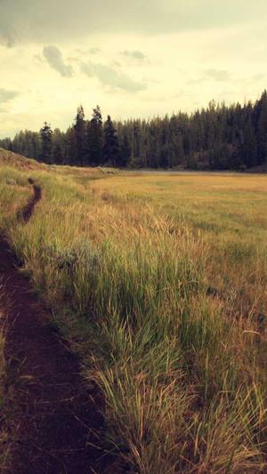 绿宝瓜怎么吃截图3