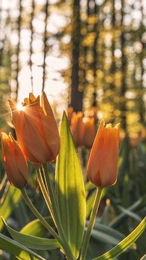 421吃瓜文件截图5