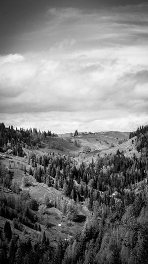 吃瓜群qq群6669363截图3