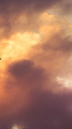 zzztttsu黑料截图2