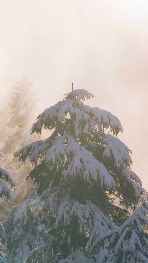 51今日吃瓜 必吃大瓜fun截图2