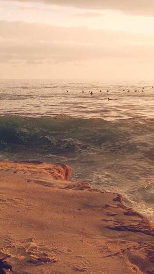 瓢瓜怎么吃截图5