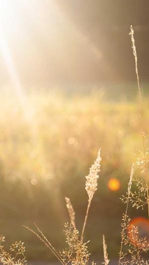 黑料不打烊怎么进截图2