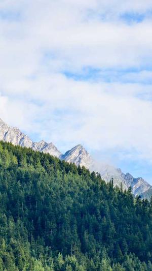 孕期吃哈密瓜截图3