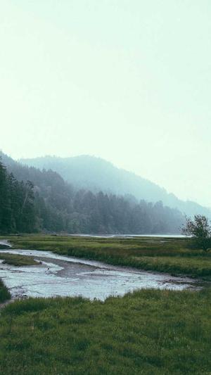 黑料不打烊最新事件截图2