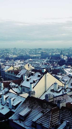 幸福一家人吃瓜的视频截图2