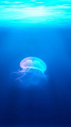 吃瓜 吃土什么意思截图5