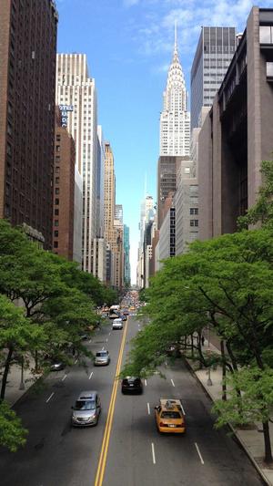 孕期可以吃哈密瓜么截图1