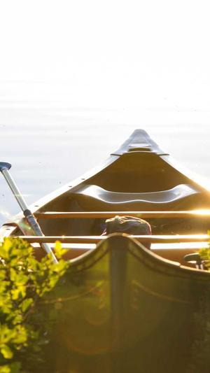 911爆料网吃瓜黑料截图3