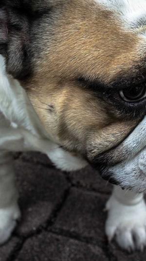 黑料不打烊tttzzz最新截图3