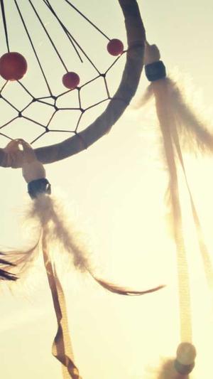 奇迹宠物店老板吃瓜截图5