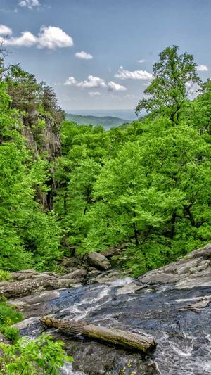 万篇长征-黑料不打烊痞幼截图2