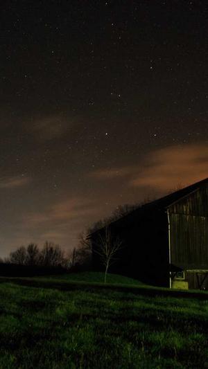 哈密瓜小孩可以吃吗截图2