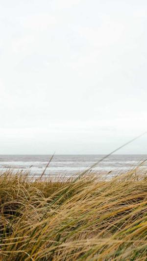 尚雯婕曾舜晞吃瓜截图3