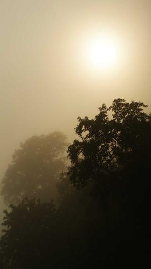 黑料不打烊换什么网址截图1