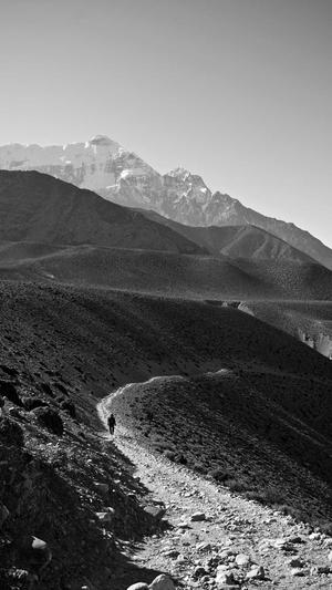 血糖高可以吃瓜吗截图2