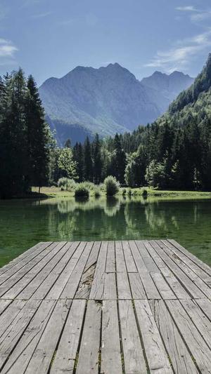 娱乐八卦是吃瓜群众截图5