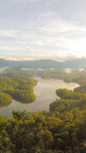 瓢瓜怎么吃截图3