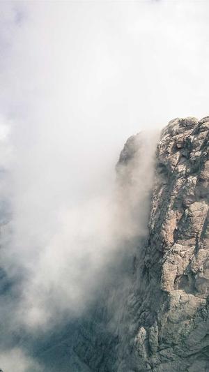 前排吃瓜少女截图1