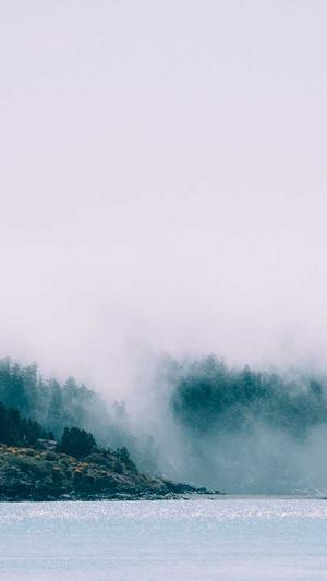 角瓜和黄瓜能一起吃吗截图4