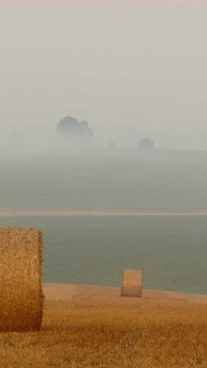 痞幼视频黑料不打烊截图2