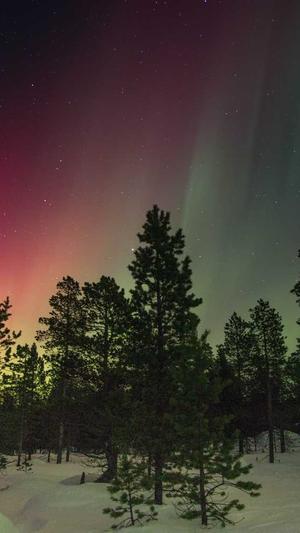 全民吃瓜下载截图5