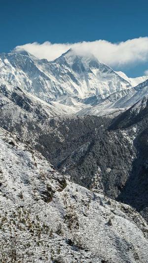 豪门世家女配吃瓜日常截图2