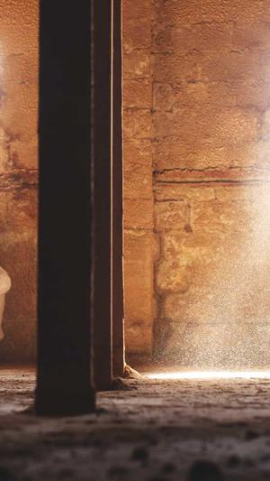 哈密瓜种子可以吃吗截图2