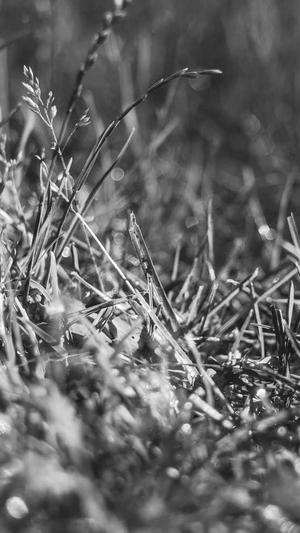 今日吃瓜热门大瓜每日更新截图5