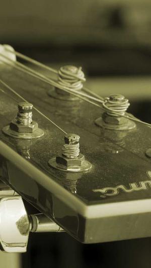 吃瓜群众什么意思截图1