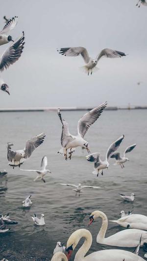 51吃瓜网-热心的朝阳群众截图2