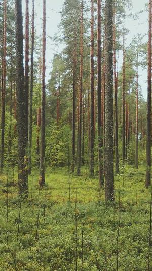 就是阿朱黑料截图5