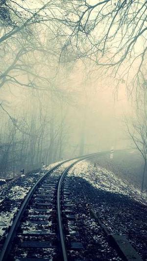 今日吃瓜每日更新截图4