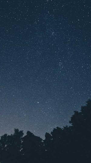 哈密瓜适合减肥吃吗截图2