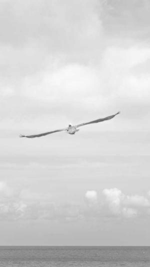 吃瓜表情包截图5