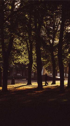 杨清柠的黑料截图4