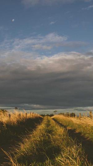 黑料不打烊新地址截图1