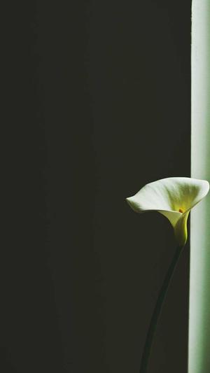 最新吃瓜资源截图2