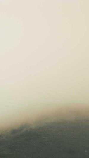 吃瓜官网黑料截图2