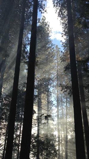 孕期可以吃哈密瓜么截图3