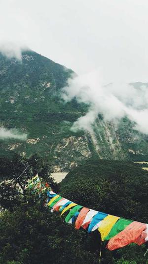 一只小仙若黑料截图1