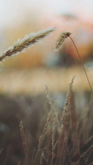 黑料社网址截图4