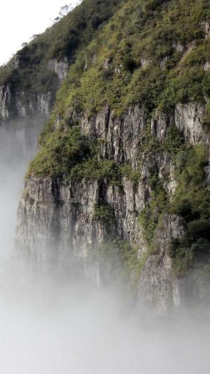 51吃瓜网有没有病毒截图3